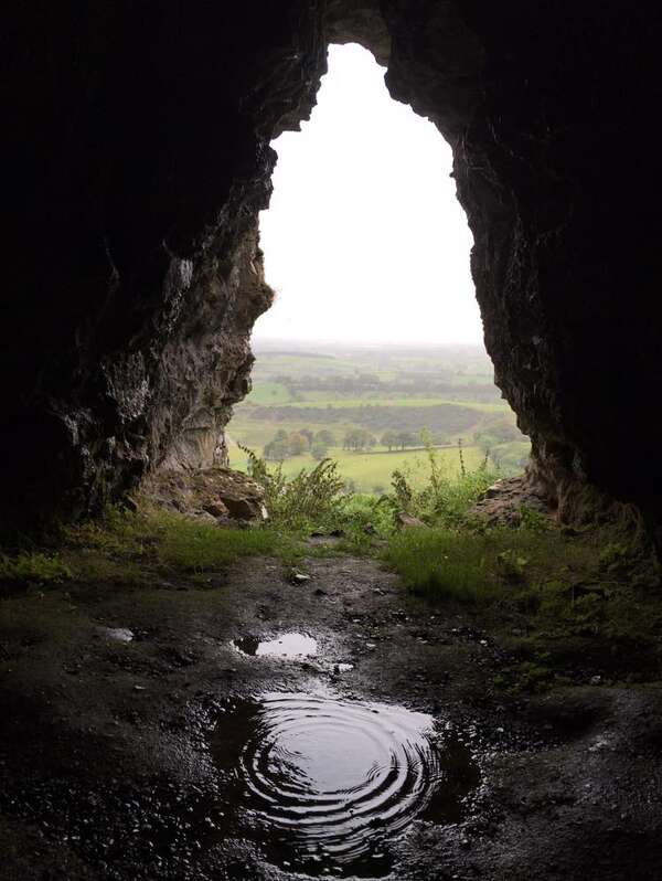 130818350_1170494490020476_6510851859379755441_o